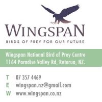 Wingspan Logo